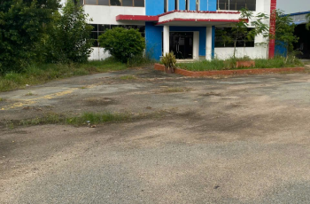Cho thuê kho Xưởng 1sẹc đường Nguyễn văn Bứa Hóc Môn