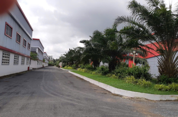 Kho xưởng cho thuê cần giuộc Long An, xưởng xây dựng sẵn vào hoạt động ngay 