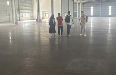 Cho Thuê Kho Xưởng Quận 12 - Diện Tích 2.000m2, Giá 200 Triệu/Tháng