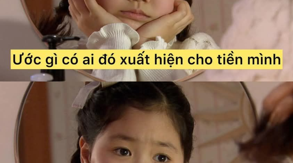 Test Cho thuê 
