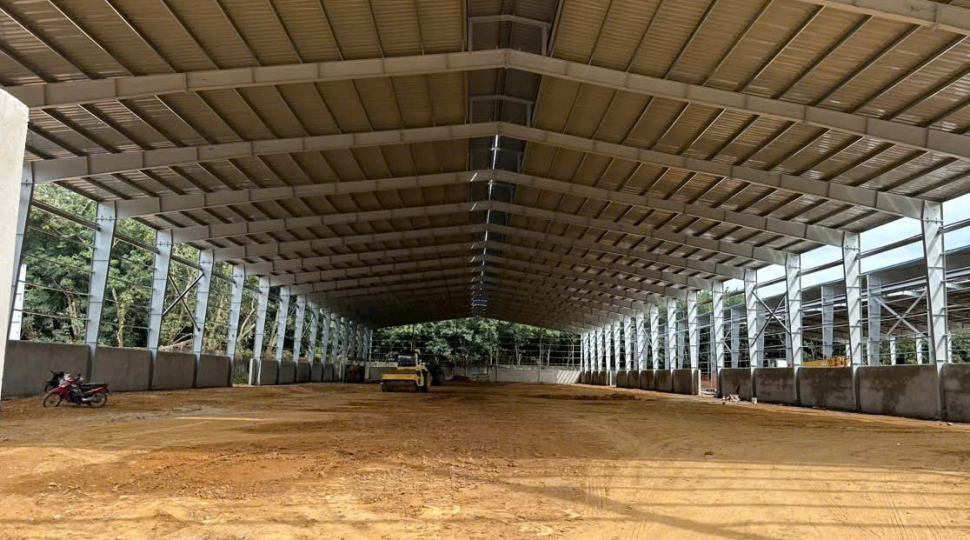Cho Thuê Nhà Xưởng KCN Tân Đô, Huyện Đức Hòa - 12.000m2, Giá 3.5 USD/m2